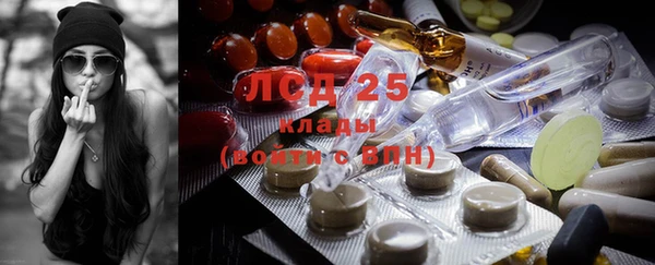 амф Козловка