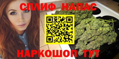 гидропоника Гагарин