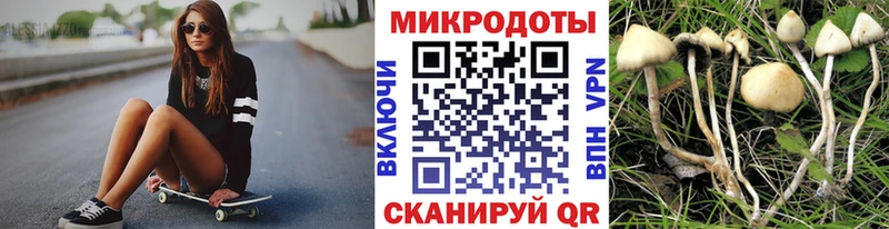магазин продажи   Красногорск  omg зеркало  Галлюциногенные грибы Psilocybine cubensis 